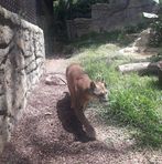 Profile Picture of Bryan Garces (@Bryan-Garces) on Facebook