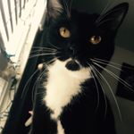 Profile Picture of Sage Alexa Meiklejohn (@sagealexa) on Instagram