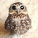 Profile Picture of Karyna Fiscelli (@karynafiscelli) on Pinterest