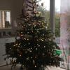 Profile Picture of Tannenbaum (@@hftkfk) on Tiktok