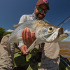 Profile Picture of Alex Tejeda (@fish_bigcatch) on Flickr