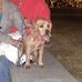 Profile Picture of Ronald Albertson (@ronald.albertson) on Facebook
