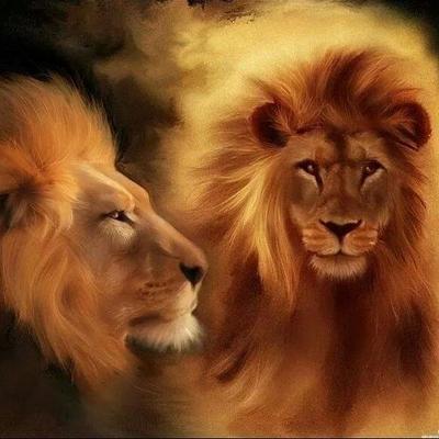 Profile Picture of Mauro Castañeda (@alber14mau) on Twitter