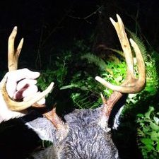 Profile Picture of Zachary McClure (@mcclurez31) on Twitter