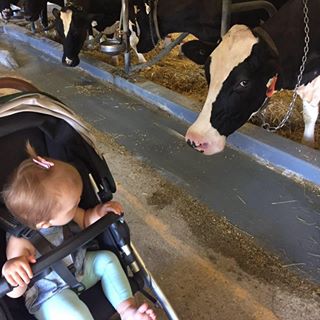 Profile Picture of Avery Stevens (@avery.stevens.9619934) on Facebook