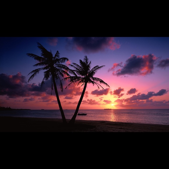 Profile Picture of Kim Lam (@kimlamswim) on Poshmark