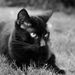 Profile Picture of Steven Olander (@steven_o74) on Pinterest
