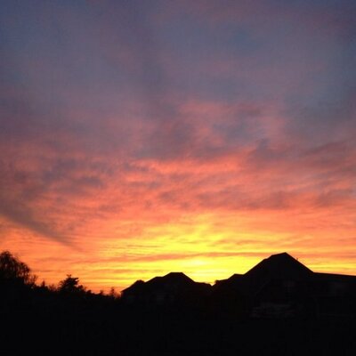 Profile Picture of Donald Dobbs (@dobbs_dl) on Twitter