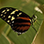 Profile Picture of Lisa Yates (@lisasyates) on Flickr