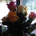 Profile Picture of amie cooley (@cooleyamie) on Instagram