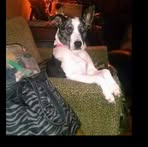 Profile Picture of Judy Boatwright (@Judy-Boatwright) on Facebook