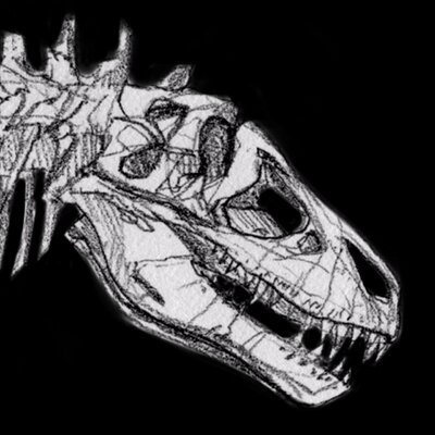 Profile Picture of Matt Nava (@matt_nava) on Twitter