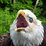 Profile Picture of Shaq Jizz: The Presence (@shaq jizz: the presence) on Flickr