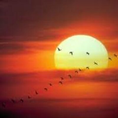 Profile Picture of YUN CHENG (@yuncheng75) on Twitter