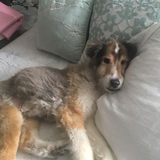 Profile Picture of John Mantone (@john.mantone.5) on Facebook