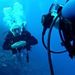 Profile Picture of David Oltrogge (@daveolt) on Pinterest