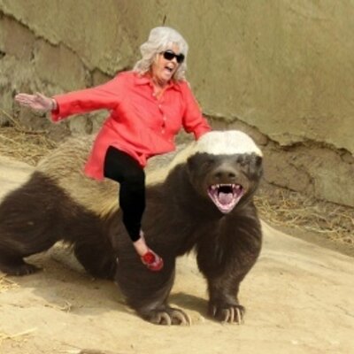 Profile Picture of Ayn Randy (@ChunLesion) on Twitter