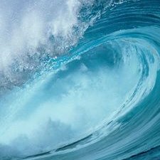 Profile Picture of Fei.Lu (@FlyLu666) on Twitter