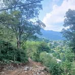 Profile Picture of Madison Hernández (@Madison-Hernández) on Facebook