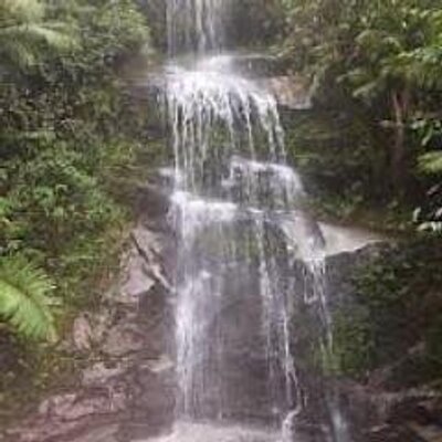 Profile Picture of Agustin Adelmo Lopez (@@agustinadelmolo) on Twitter