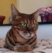 Profile Picture of Eric Brodbeck (@eric.brodbeck.50) on Facebook