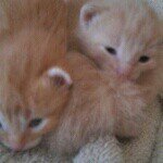 Profile Picture of Ursula Scott (@uesulascott) on Instagram