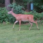 Profile Picture of Jameson Cook (@jamesoncook77) on Instagram