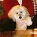 Profile Picture of Susan Koch (@sckoch) on Pinterest