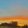 Profile Picture of marcus___robinson (@@marcus___robinson) on Tiktok