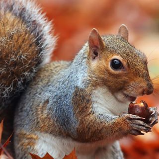 Profile Picture of Jeffy Blumqwist (@jeffy.blumqwist) on Facebook