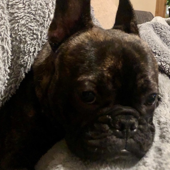 Profile Picture of Staci Vaughn (@stacivaughn) on Poshmark