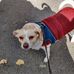 Profile Picture of Douglas Canady (@douglas.canady.520) on Facebook