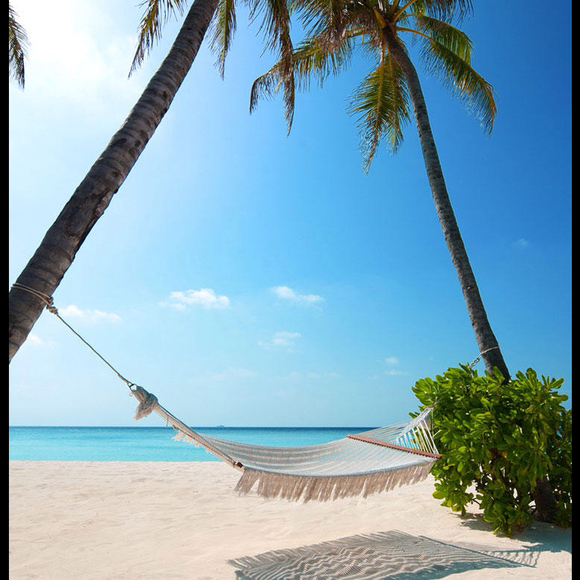 Profile Picture of Lupe Witcomb (@lwitcomb) on Poshmark