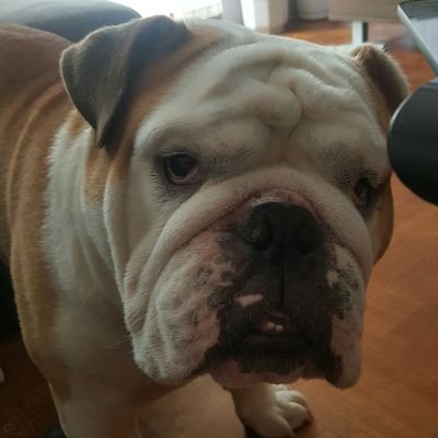 Profile Picture of Maciej Piotrowski (@MaciekPiot) on Twitter
