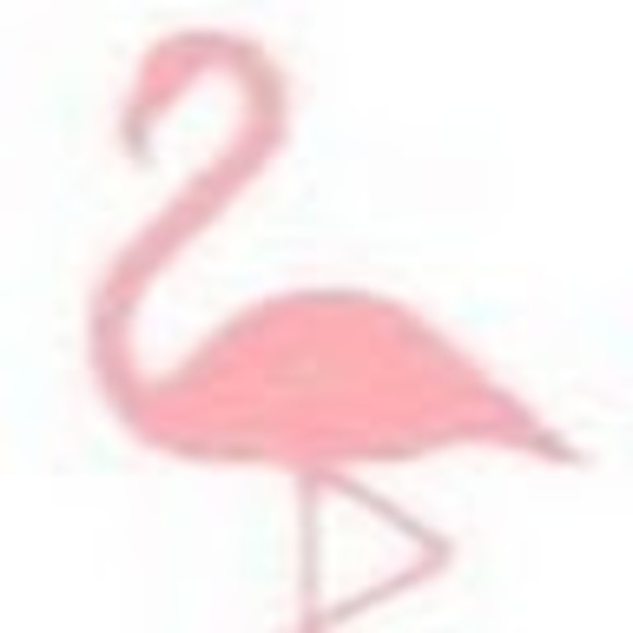 Profile Picture of Sporty Courty (@chazlitt) on Poshmark