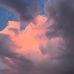 Profile Picture of Cheryl Pfirrmann (@pfirrmac) on Instagram