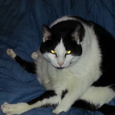 Profile Picture of David Van Loon (@DavidVanLoon1) on Twitter