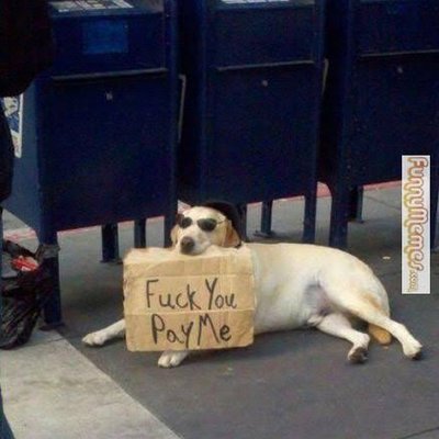 Profile Picture of Brett Vander (@brettvander3) on Twitter