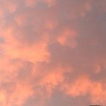 _brunettynatasha - Instagram Profile Picture of _brunettynatasha (@_brunettynatasha) on Instagram