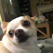 Profile Picture of Wulff (@Wulff2023) on Youtube