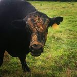 Profile Picture of Joseph Lockridge (@joe_lockridge357) on Instagram