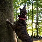 Profile Picture of Thomas Parkhurst (@t.c.p74) on Instagram