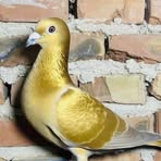 Profile Picture of Daniel Amokashy Amokashy (@Daniel-Amokashy-Amokashy) on Facebook