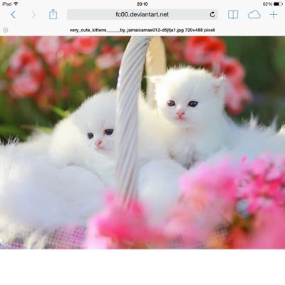 Profile Picture of Alexandra Preda (@kiss_fashon) on Twitter