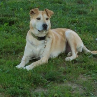 Profile Picture of Kim Deckard (@bkgdeck) on Twitter