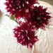 Profile Picture of Jody Coppock (@jodycoppock) on Pinterest