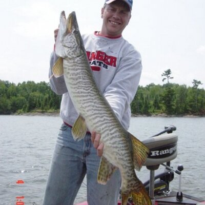 Profile Picture of Scott Aschenbrenner (@Asch6845) on Twitter