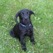 Profile Picture of Mikael Hansen (@Realease1000) on Youtube