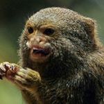 Profile Picture of James Helphrey (@helphreyjames) on Instagram