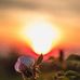 Profile Picture of Samir Patil (@Samir-Patil) on Facebook